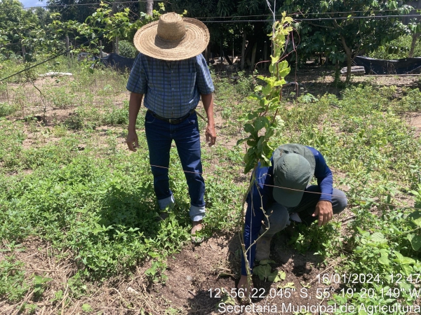 Secretaria de Agricultura realiza mais uma etapa do Projeto Fertilizar