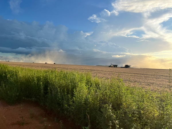 Secretaria Municipal de Agricultura inicia visitas a produtores rurais durante per&iacute;odo de colheita