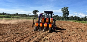 Secretaria Municipal de Agricultura realiza plantio de milho com apoio de maquinários adquiridos por meio de recursos estaduais