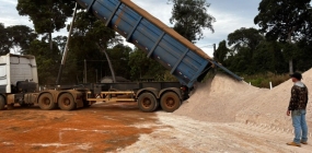 Nova Ubiratã já distribuiu cerca de 200 toneladas de calcário a produtores rurais