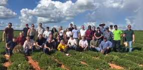 Nova Ubiratã fortalece desenvolvimento econômico com avanço de empresa do setor de amendoim