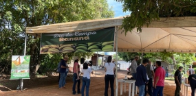 Secretarias de Agricultura e Meio Ambiente promovem o Dia de Campo de Banana